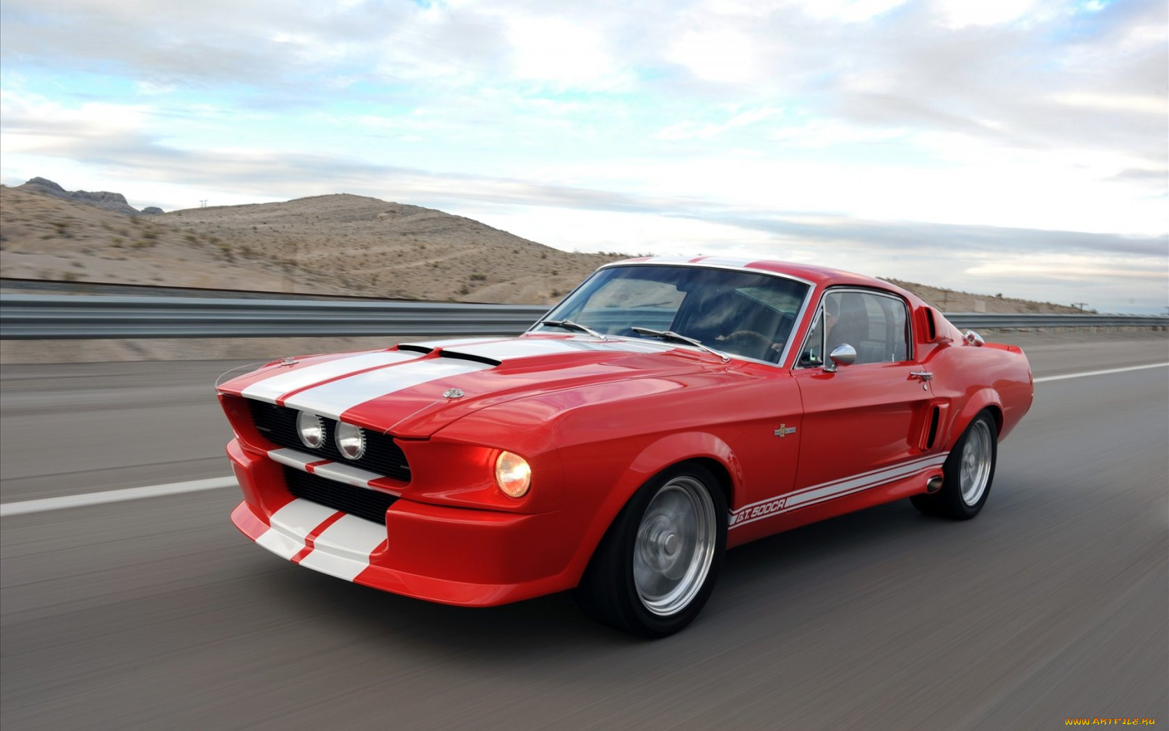 mustang, shelby, 